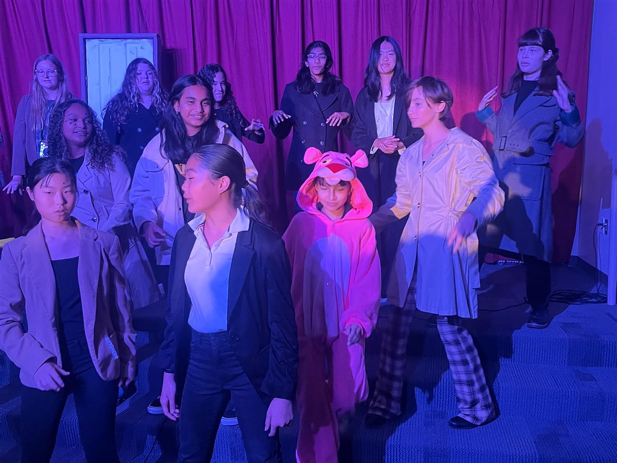 Pink Panther Performance 3